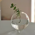 Handmade spherical glass hydroponic vase with small legs and fresh mint sprig - Small Tripod