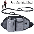 Outdoor pet waist bag detail with water bottle holder, reflective strips and bungee leash - Metal Logo Upgrade Single Bag / Gray