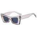 Modern cat eye sunglasses with transparent gray frames and dark lenses in 45-degree view - Transparent Grey C03