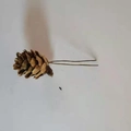 Artificial pine cone with wire stem for DIY Christmas wreath and tree decoration - 2-3cm Mini Pine Cone with Wire