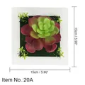 Artificial succulent wall decor with green and purple echeveria in a 15cm white frame - Style 20A