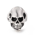 Silver skull ring for men with brushed stainless steel finish and punk rock design details - US 8 / Matte Steel