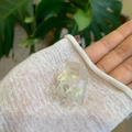 Dettaglio di piccola molletta per capelli in acetato perlato con timbro dorato fatto in Francia - Taglia Mini / Bianco Perla Iridescente
