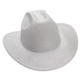 Vista dettagliata del cappello da cowboy glitterato argento con finitura lucida - Bianco