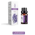 10ml pure lavender essential oil in dark glass bottle with matching white packaging box - Lavender