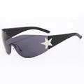 Y2K Oversized Pilot Sonnenbrille mit grauen Gläsern und silbernen Sternen-Details - C1-Glänzend Silber/Glänzend Schwarz Bügel/Vollgrau