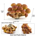 Pholiota microspora Pilzmodell aus festem Kunststoff, Größe 4x5.8x3.7cm - Nameko-Pilz (T15514)