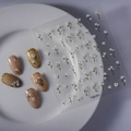 Makro-Detail von weißen 5D geprägten Gänseblümchen-Nagelaufklebern auf Nageltips - Weißes Gänseblümchen (FEB-501)