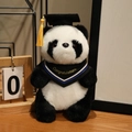 Panda di peluche con tocco da laureato e nappa gialla su sfondo di scrivania in legno - Panda con sciarpa blu / 20cm
