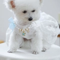 Detailed view of pearl pet collar with blue star pendant and elegant lace bowtie - Flower Bell Pendant Pearl Necklace-Blue