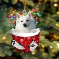 Cute Samoyed dog in red snowflake Christmas stocking hanging ornament with gold string - 3-Samoyed
