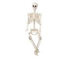 Life-size 165cm posable skeleton with movable joints for indoor and outdoor Halloween decor - Adult Scale Standing Skeleton