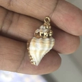 Golden plated natural conch shell pendant held by hand for jewelry DIY designs - No.37 (Gold Conch - Ring Design)