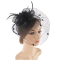 Elegant black fascinator pillbox hat with mesh veil, feathers and floral accents - Black