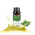 LurnaoQueen Basil Essential Oil 10ml in brown glass bottle with fresh basil leaves - Basil Alone