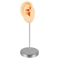 Flesh-colored silicone ear model with silver metal stand and round stainless base - Right Ear / Nude
