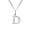 High-quality stainless steel chain necklace featuring a minimalist silver initial D pendant - Letter D / Steel Color