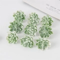 Groene kunstmatige vetplanten met witte punten voor kerstdecoratie en fotorekwisieten - Stijl 5 (Vetplantkoppen met witte punt 9 stuks)