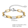 Detail of mixed-tone gold and silver twisted chain bracelet with dimensions 17 plus 5cm - Two-tone Mixed Color Geometric Style (BR-1705)
