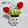 Handmade crochet strawberry plant in smile pot with a Thank You For Helping Me Grow card - Positive Potted-White Pot Double Head Strawberry
