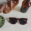 Retro amber tortoiseshell polygon sunglasses with dark lenses and silver metal accents - Tortoiseshell 15