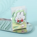 Mini groene squishy konijn notitieboekje met metalen ketting in transparante doos - 5.1x5.6cm / Groen Pluizig Konijn