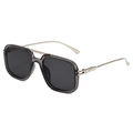 Lunettes de soleil rétro à double pont avec monture grise et verres noirs - Monture Grise Transparente Branches Argentées Verres Gris