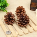 Three natural brown pine cones on wood for Christmas DIY decor and photo props - 4-5CM Local Pine
