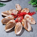 Natural conch shell whistle necklace with red cord arranged in a circular pattern - Gourd Shell Horn 7-11cm (Patterned)