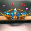 Detail of blue raw crystal crown with golden filigree wings on metal headband - Dark Blue Crystal + Gold Wings