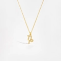 Macro shot of gold Capricorn zodiac pendant with micro-set zircons on silver chain - Capricorn