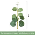 Detailed size chart of artificial eucalyptus leaf with 15.5cm height and green foliage - 4 Leaves With Tip