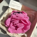 Rose hair claw clip in deep pink fabric finish shown in minimalist gift box - 9cm / Rose Red