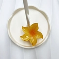 Chic yellow gradient flower hair claw clip for beach vacations and styling - Orange Yellow (Five-point Flower)