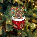 Weihnachtsstrumpf-Anhänger mit Hund, Rentiergeweih und festlicher Lichterkette - Basset Hound