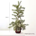 62cm artificial Christmas pine tree with pine cones and red-green plaid base wrap - 62cm Christmas Tree / 630g