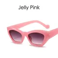 Occhiali da sole irregolari cat-eye rosa gelatina con lenti sfumate grigio viola - Rosa Gelatina