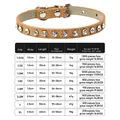 Braunes Leder-Halsband mit Strasssteinen inklusive detaillierter Größentabelle für Hunde - 1.0XS (1.0cm*25cm) / Khaki