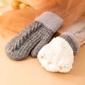 Moufles en tricot torsadé gris pour femme avec doublure épaisse en peluche blanche - Gris