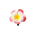 Handmade plumeria hair clip featuring a vibrant red-centered yellow and white gradient flower - 6cm / Red