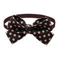 Classic brown bowtie with white polka dots and ribbed strap for dogs and cats - Classic Polka Dot