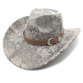 Cappello da cowboy stile western con stampa serpente, cinturino e fibbia vintage - M(56-58cm) / Motivo Serpente Grigio