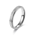 Minimalist silver frosted titanium steel ring with a sparkling sandblasted finish - US 5 / 4mm Double Step Silver