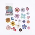 Floral PET stickers featuring colorful sunflowers and daisies for DIY scrapbooking - Scattered Petals