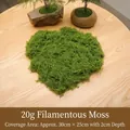 Green 20g fibrous artificial moss for DIY landscaping and garden micro-landscape decor - 20g / Light Green