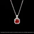 Collana in acciaio al titanio con ciondolo gemma rossa ottagonale e zirconi bianchi - Strass Quadrato Rosso