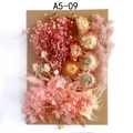 DIY dried flower material kit featuring pink and orange daisies for handmade crafts - Flower Pack No.9