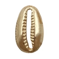 Golden sea shell pendant charm with metallic texture and natural shell patterns - 1Pc Shell 10.4x17mm