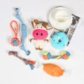 Detailed assortment of colorful dog rope toys and plush squeaky toys on white background - 7-Piece Set 310g No.2