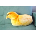 Realistic 3D print yellow chick plush pillow for sofa decoration in soft short fleece - 42x24cm Chick